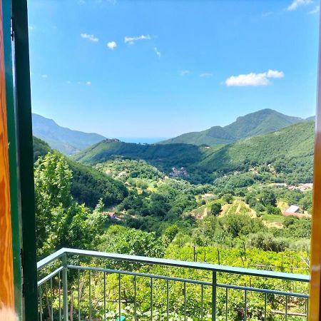 Vila La Casa In Vigna Tramonti Exteriér fotografie