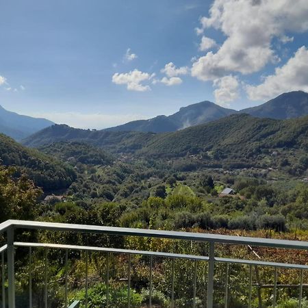 Vila La Casa In Vigna Tramonti Exteriér fotografie