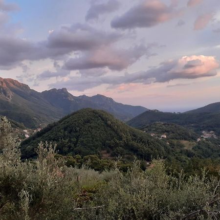 Vila La Casa In Vigna Tramonti Pokoj fotografie