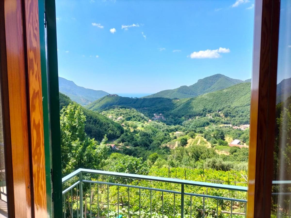 Vila La Casa In Vigna Tramonti Exteriér fotografie