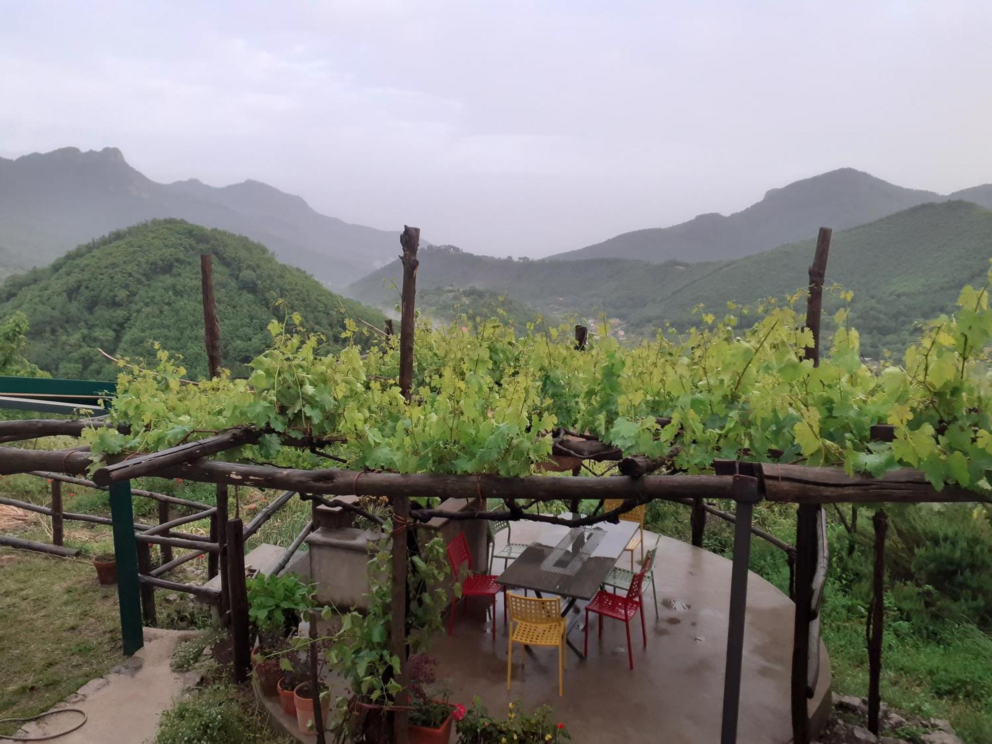 Vila La Casa In Vigna Tramonti Exteriér fotografie