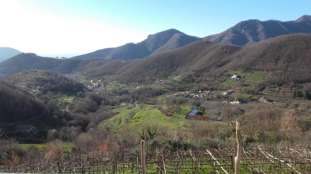 Vila La Casa In Vigna Tramonti Exteriér fotografie